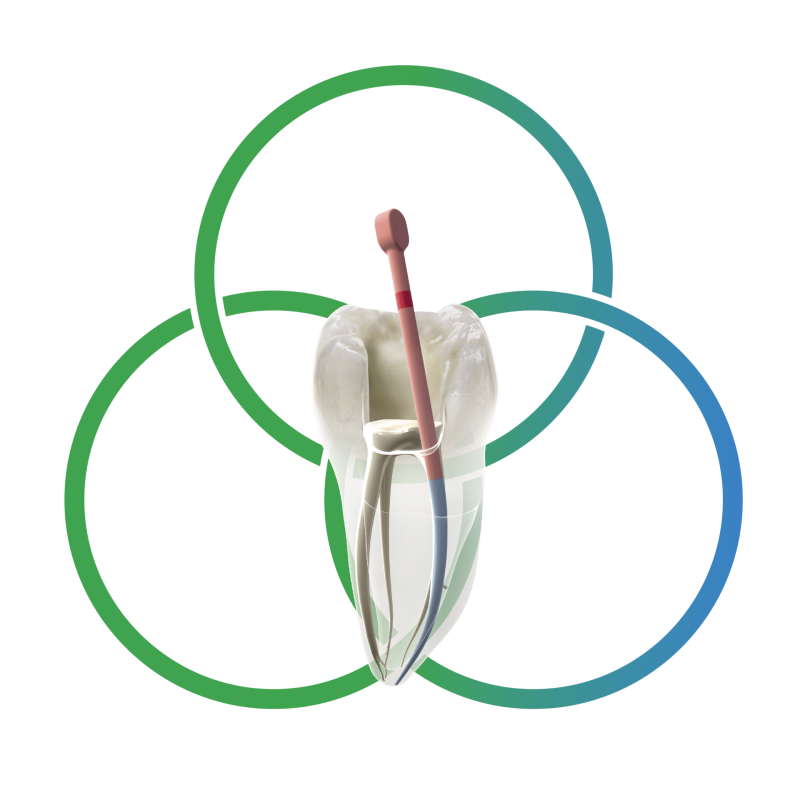 AH Plus Bioceramic Sealer protaper ultimate